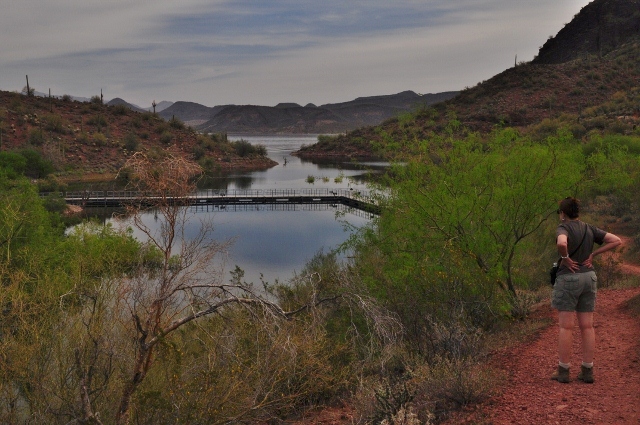 Pipeliine Canyon Trail 